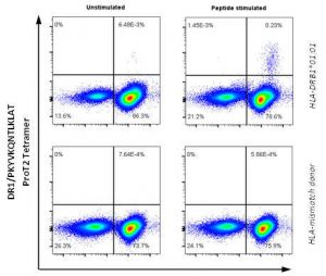 ProT2®-MHC-Class II-Tetramers - ProImmune - Mastering Immunity _ MHC ...