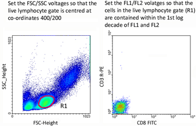 Multimer Flow Cytometry - ProImmune - Mastering Immunity _ MHC ...